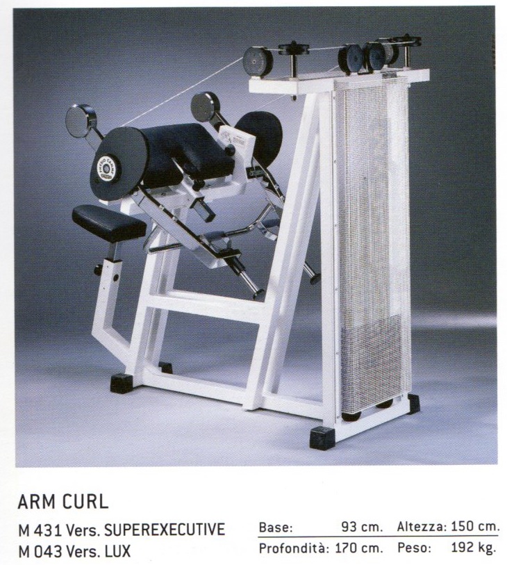 ARM CURL (1)